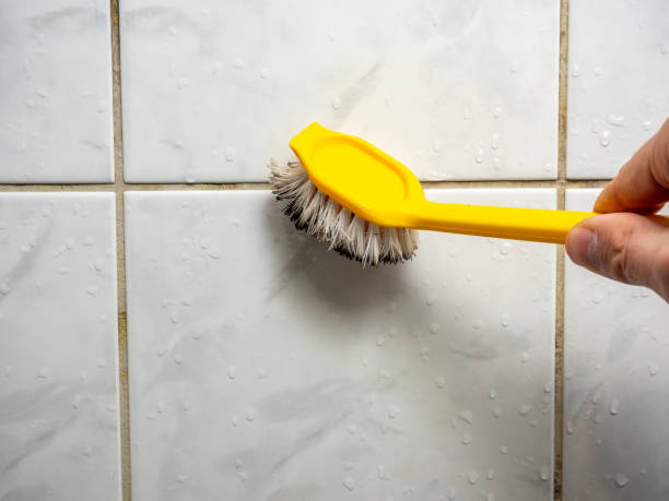 Mold Removal and Inspection in Randolph, WI