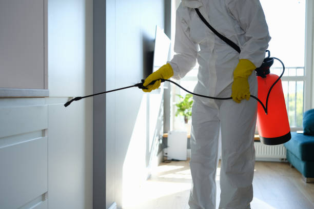 Mold Testing and Removal in Randolph, WI