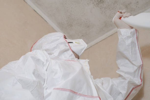 Best Toxic Mold Removal  in Randolph, WI